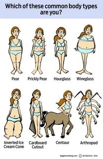 what are the body types for women Cheap Sell - OFF 68