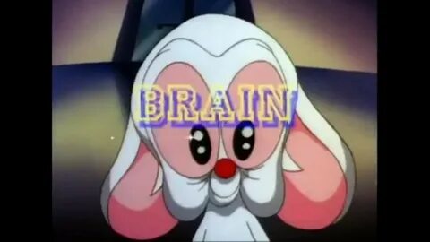 Pinky And The Brain Wallpaper (64+ images)