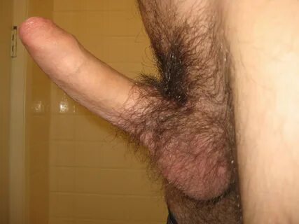 Hairy Penis Shaft