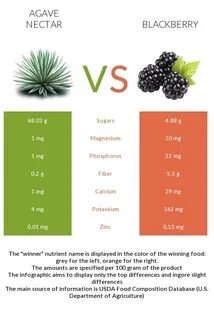 Agave nectar vs Blackberry - In-Depth Nutrition Comparison
