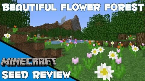 Forest flowers Seed for Minecraft 1.8 - That’s really possib