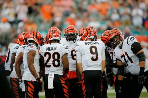 Bengals announce four protected practice squad players for W