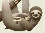 Sloth Giclée Print * Nature Press