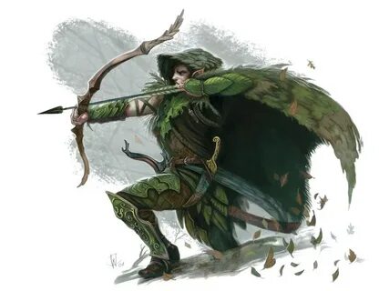 Wood Elves Okarth Wiki Fandom