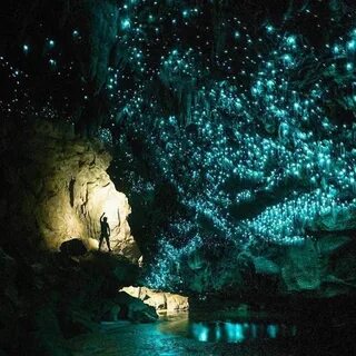 Captains log Glow worm cave, Fairy pools scotland, Fairy poo