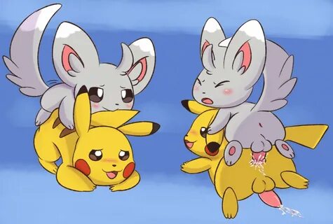 Rule34 - If it exists, there is porn of it / minccino, pikac