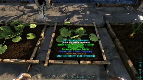 Narcoberries & Seeds - Ark Survival Evolved