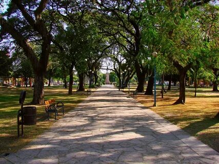 Beneficios que nos dan los parques urbanos - Parques Alegres