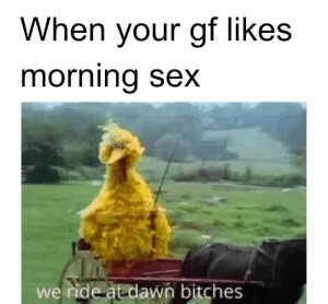 When Your Gf Likes Morning Sex We Ride at Dawn Bitches Absol