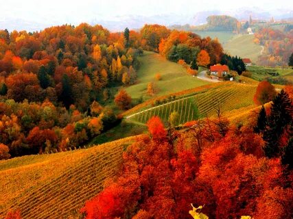 houses, Foliage, Fall, Autumn, Mountain, View, Lovely, Hills