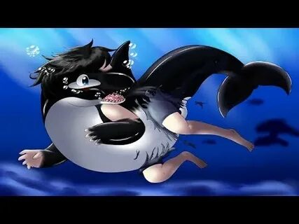 Whale/Orca tf - YouTube Music