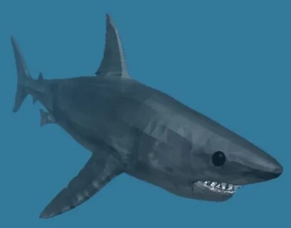 Shark (Sharkbite) Joke Battles Wikia Fandom