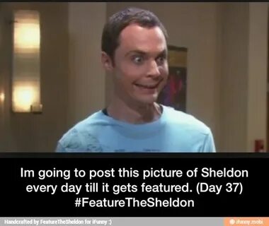 Im going to post this picture of Sheldon every day till it g