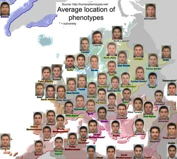 Average location of phenotypes in Europe - Imgur