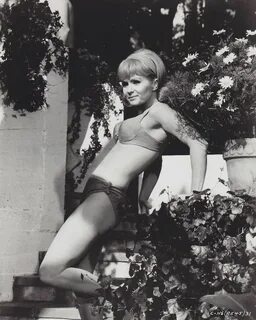 Debbie reynolds nudes 🌈 Debbie Reynolds Nude. Debbie Reynold