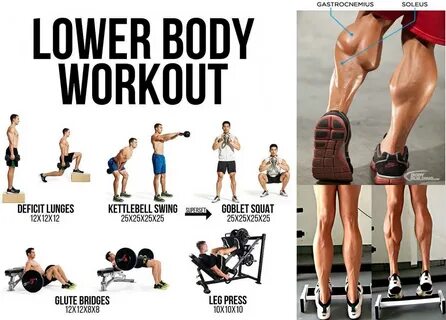 12 Best Lower Body Workout Leg Workout EFitnessHelp