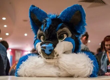 Pin by DeoFox on Fursuits Fursuit furry, Anthro furry, Furry