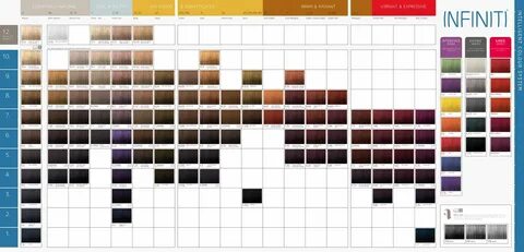Goldwell Hair Color Chart Hair color chart, Professional hai