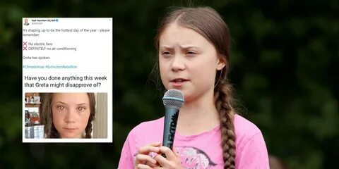 Greta Thunberg Meme Electric Car : How Dare You Not Enjoy Th