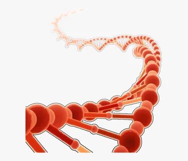 Dna Clipart Red - Dna Work , Free Transparent Clipart - Clip