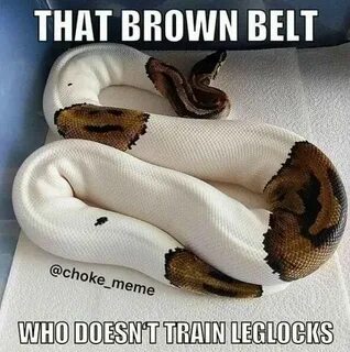 Post a bjj meme that’s never not funny (pic) : Page 5