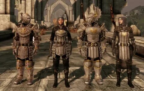 Grey Wardens of Ferelden at Dragon Age: Origins - mods and c