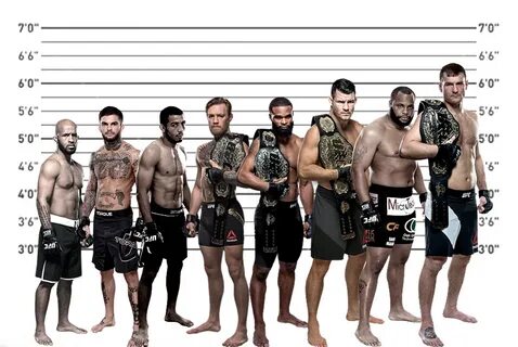 The height of male UFC champions to scale - Imgur