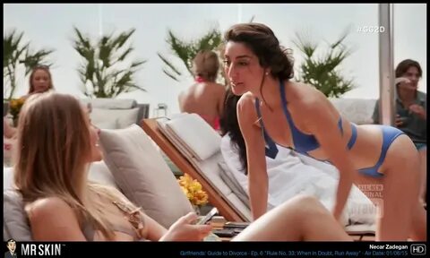 Necar Zadegan nude pics.