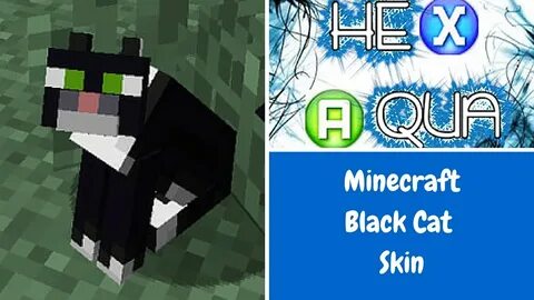 Minecraft Black Cat Skin Tutorial - YouTube