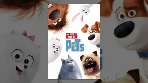 The Secret Life of Pets - YouTube