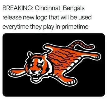 Bumgals suck Nfl memes, Pittsburgh steelers, Bengals