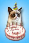 Pin by Andreea Stănescu on cards. Cat birthday, Happy birthd