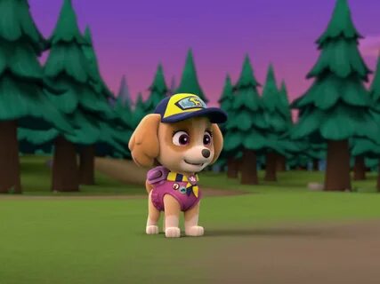 paw patrol amazon prime video Offers online OFF-74