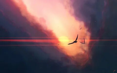 Birds Flying at Dawn HD wallpaper