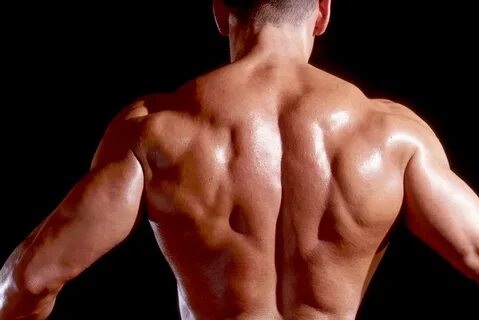 Back Exercises, Tips, Tricks and Training Techniques