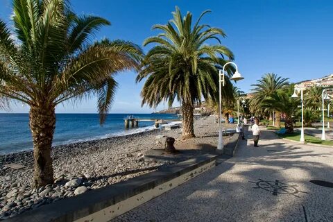 Beautiful calm madeira santa cruz beach with the palms free 
