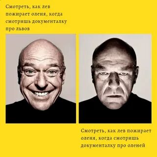 🔝 Мемы про "веселье и уныние", которые заставили Рунет вспом
