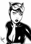 Pin by Koko on Batman Catwoman comic, Catwoman, Superhero ar