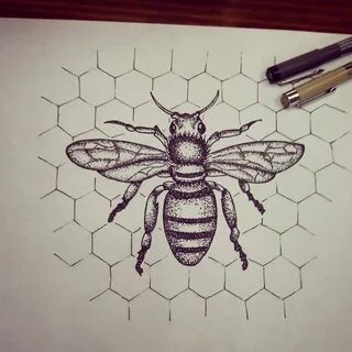 Queen Honey Bee Drawing - Фото база
