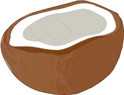 Coconut, Coco, Tropical, White, Nut, Exotic, Palm - Clip Art