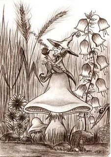 Pin by Teresa Wilson on gnomes Mushroom drawing, Fantasy dra