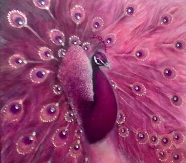 Pink peacock