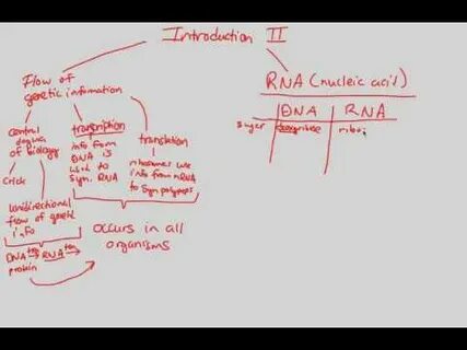 Gene Expression - Introduction II BIALIGY.com - YouTube