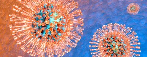 Herpes simplex virus: transferability herpes disease L&R Pre