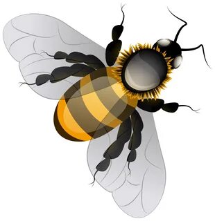 Emoji clipart bee, Picture #1004920 emoji clipart bee