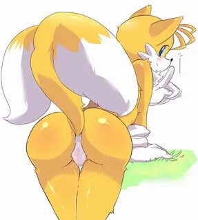 Rule34 - If it exists, there is porn of it / tails / 2827704