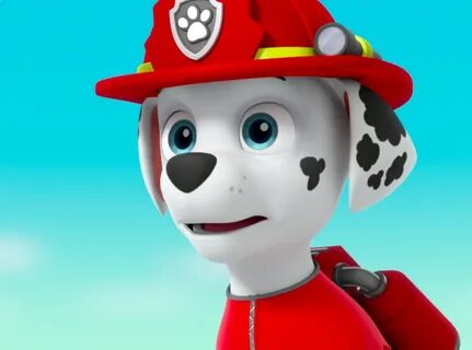 Marshall, the firepup - Marshall - PAW Patrol litrato (40718