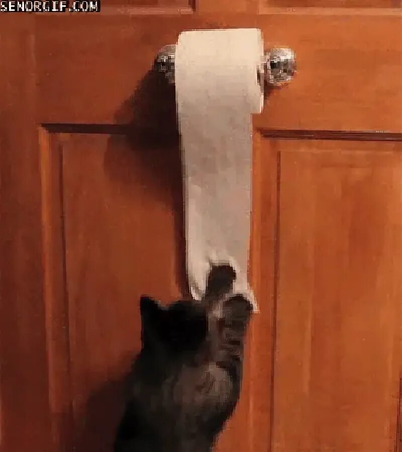 Ran Out Of Toilet Paper GIF Gfycat