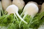 Free Photo: Fresh Fennel Bulbs Ready to Cook
