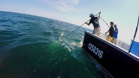 Wicked Tuna - Season premiere March 15 - YouTube